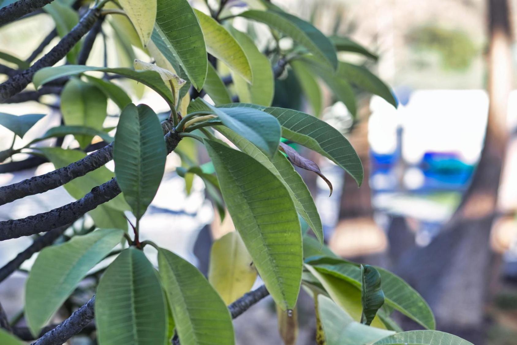 Finca Vino Tinto 5S إيكود ذي لوس فينوس المظهر الخارجي الصورة